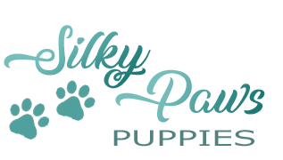 Silky Paws Puppies